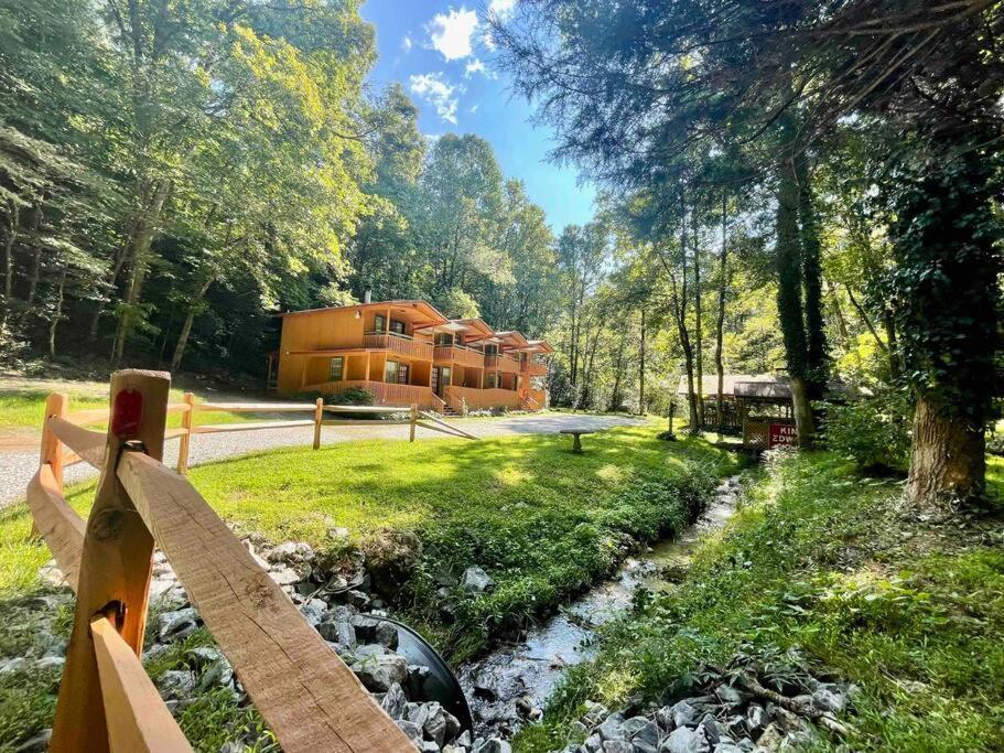 Cute Cabin Creek & Firepit #12 Helen Dış mekan fotoğraf