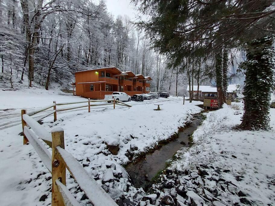 Cute Cabin Creek & Firepit #12 Helen Dış mekan fotoğraf