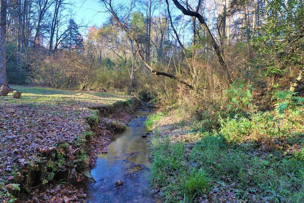 Cute Cabin Creek & Firepit #12 Helen Dış mekan fotoğraf